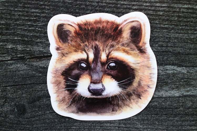 Rotund Raccoon Sticker