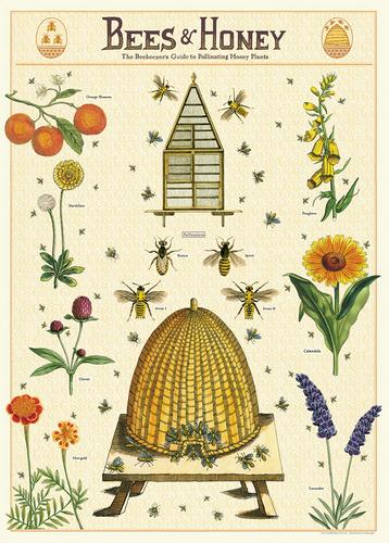 Bees & Honey Poster