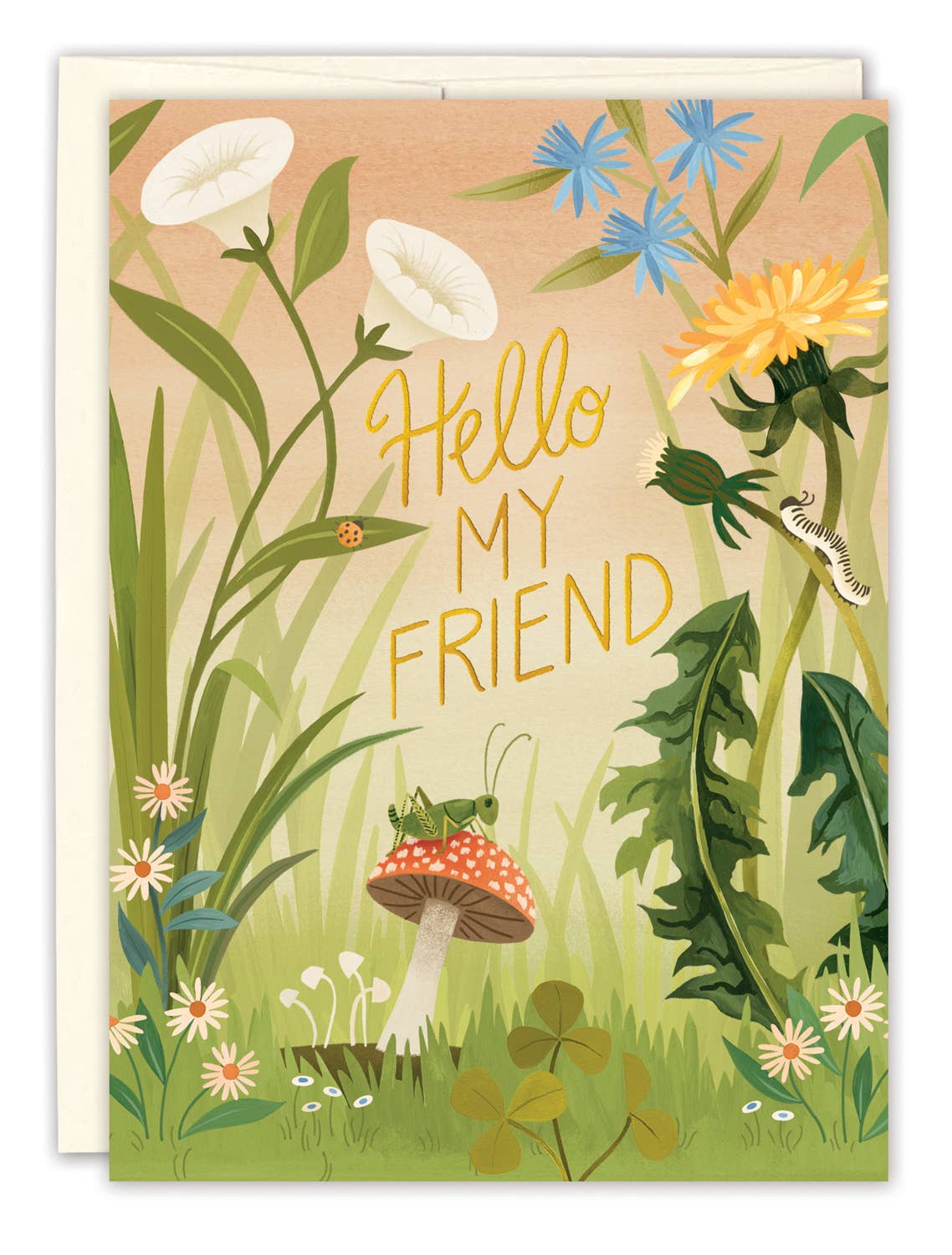 Hello My Friend Friendship Card