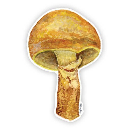 Larch Bolete Mushroom - Watercolor Mushroom Sticker