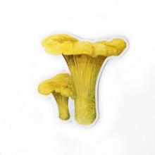 Load image into Gallery viewer, Chanterelle Mushroom Sticker
