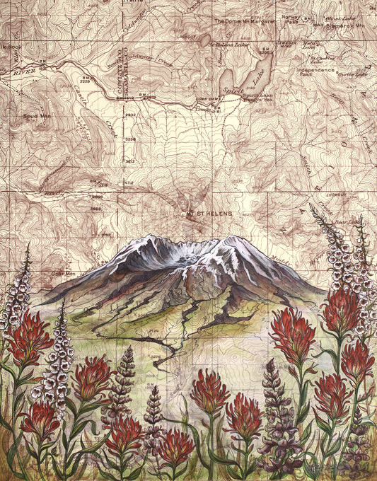 Mount Saint Helens Wildflowers 8x10 Print in 11x14 Mat