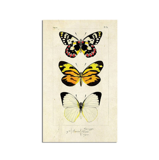 Monarch Butterflies Wall Art 11x17