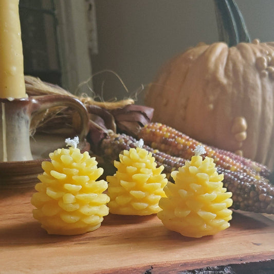 Pinecone Beeswax Candle - Small