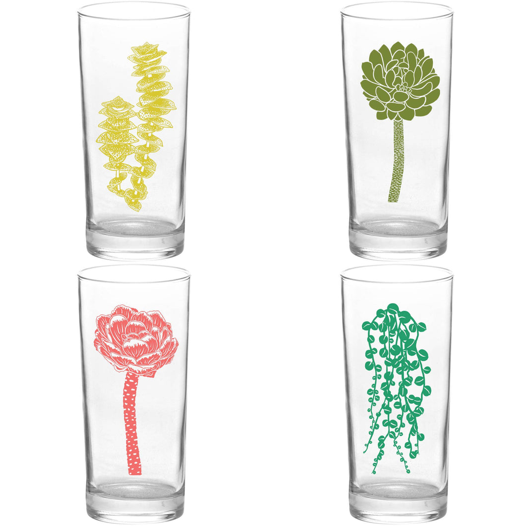 Succulent Glasses Set of 4