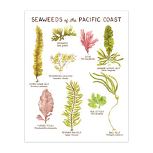 Load image into Gallery viewer, Seaweeds of the Pacific Coast - 11&quot; x 14&quot; Art Print
