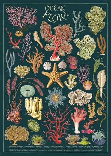 Ocean Flora Poster